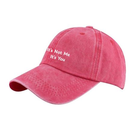 "It's Not ME, It's You" Vintage Cap