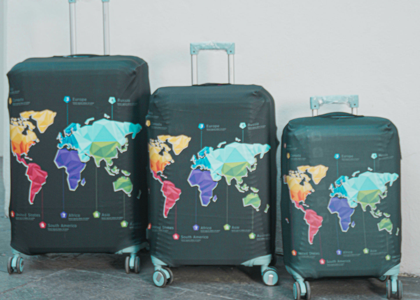 Waterproof Picture Luggage Protector Suitcase